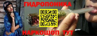 apvp Новодвинск