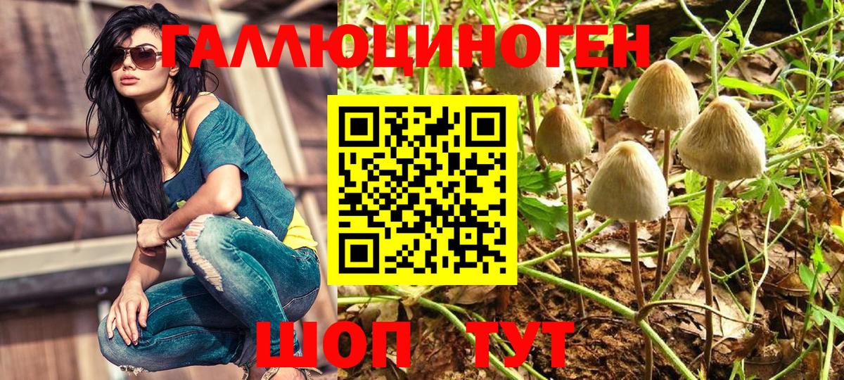 Галлюциногенные грибы Psilocybe  Вход с VPN  Тара  Галлюциногенные грибы Magic Shrooms 