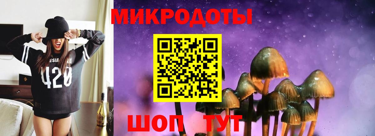 Псилоцибиновые грибы Psilocybe Тара